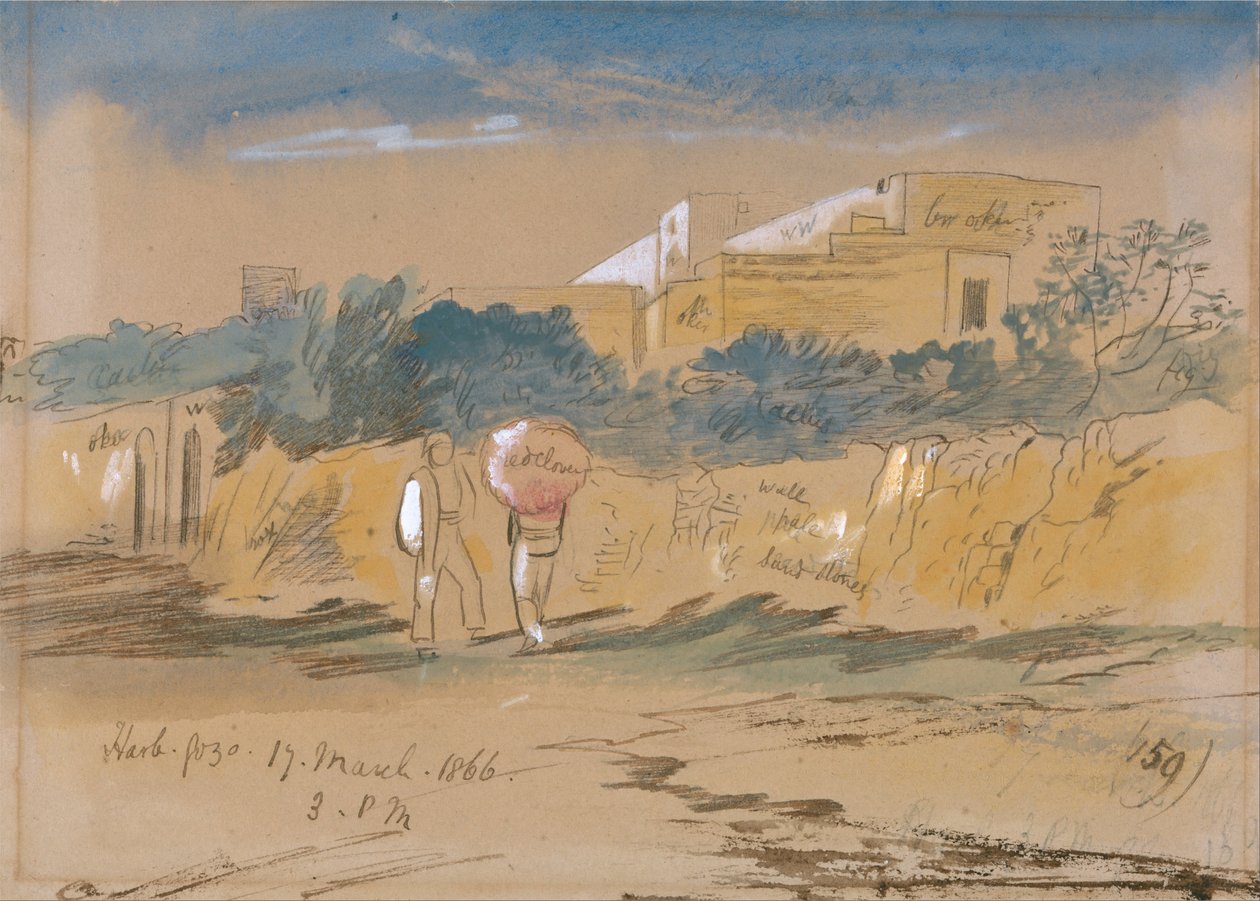 Harb. Gozo autorstwa Edward Lear