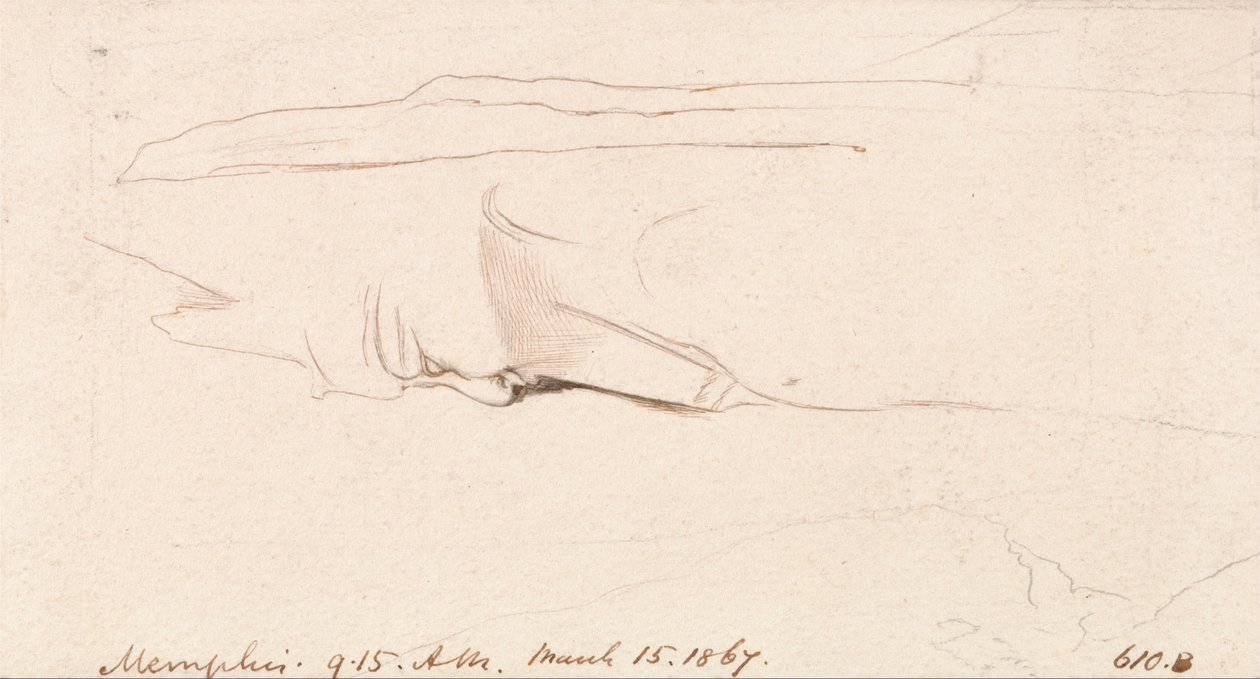 Memphis autorstwa Edward Lear
