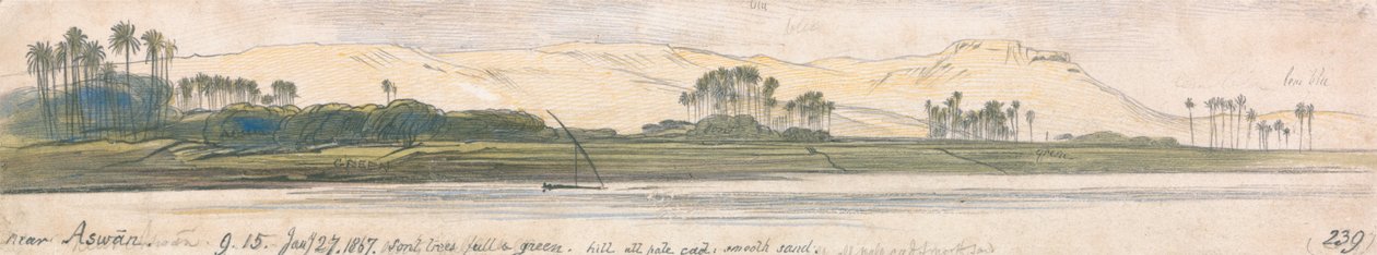 W pobliżu Asuanu autorstwa Edward Lear