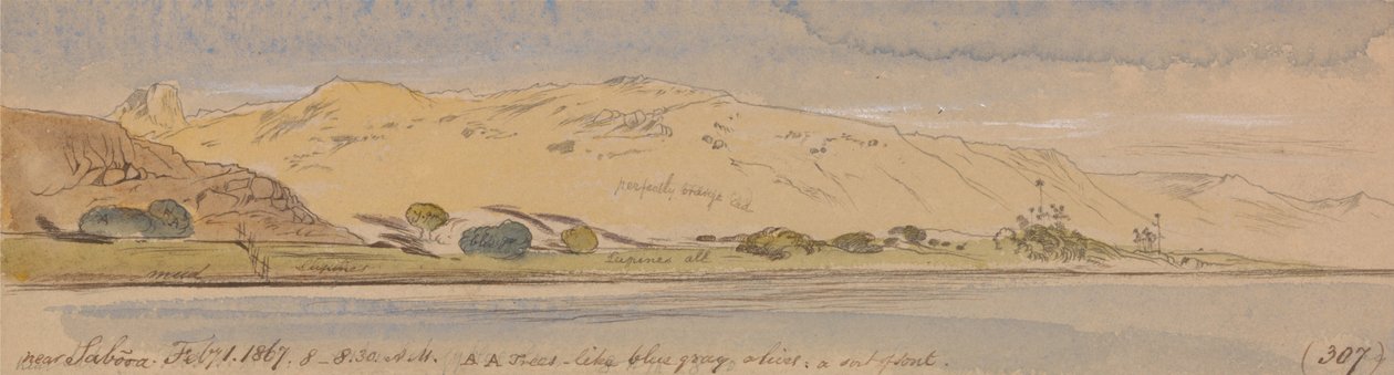 W pobliżu Sabooa autorstwa Edward Lear