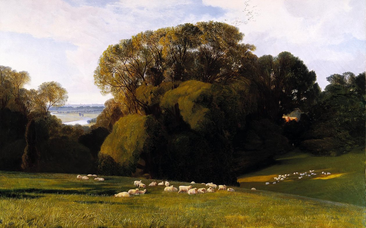 Nuneham autorstwa Edward Lear