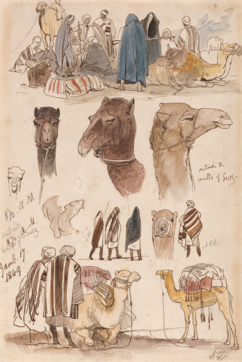 Za Murami Suezu, 8-30, 17 stycznia 1849 (54) autorstwa Edward Lear