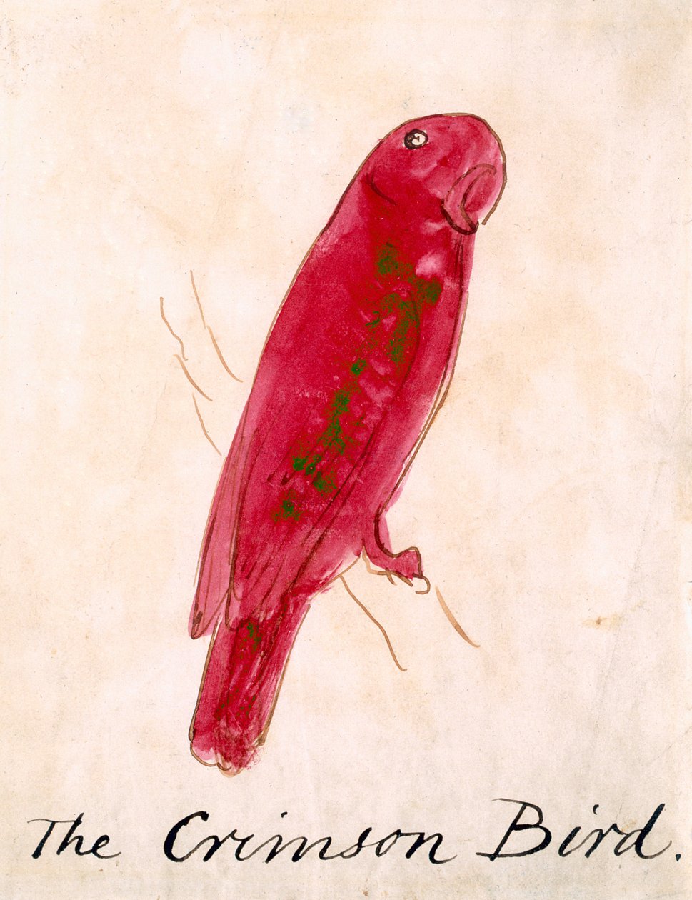 The Crimson Bird, z „Sixteen Drawings of Comic Birds” (pióro i atrament wc na papierze) autorstwa Edward Lear