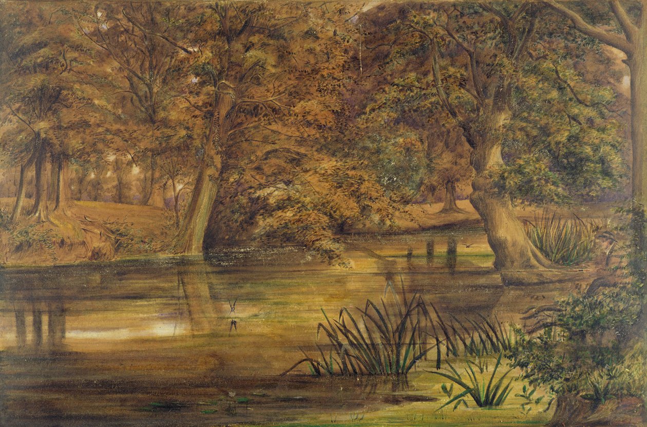 Back Water of the Bratford, 1864 (toaleta i ołówek na papierze) autorstwa Edward W. Fitch