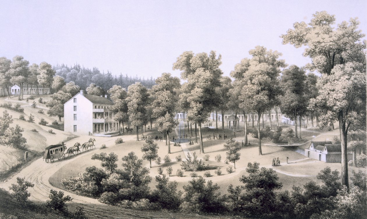 Stribling Springs, Spa Village, Augusta Country, 1858 autorstwa Edward Beyer