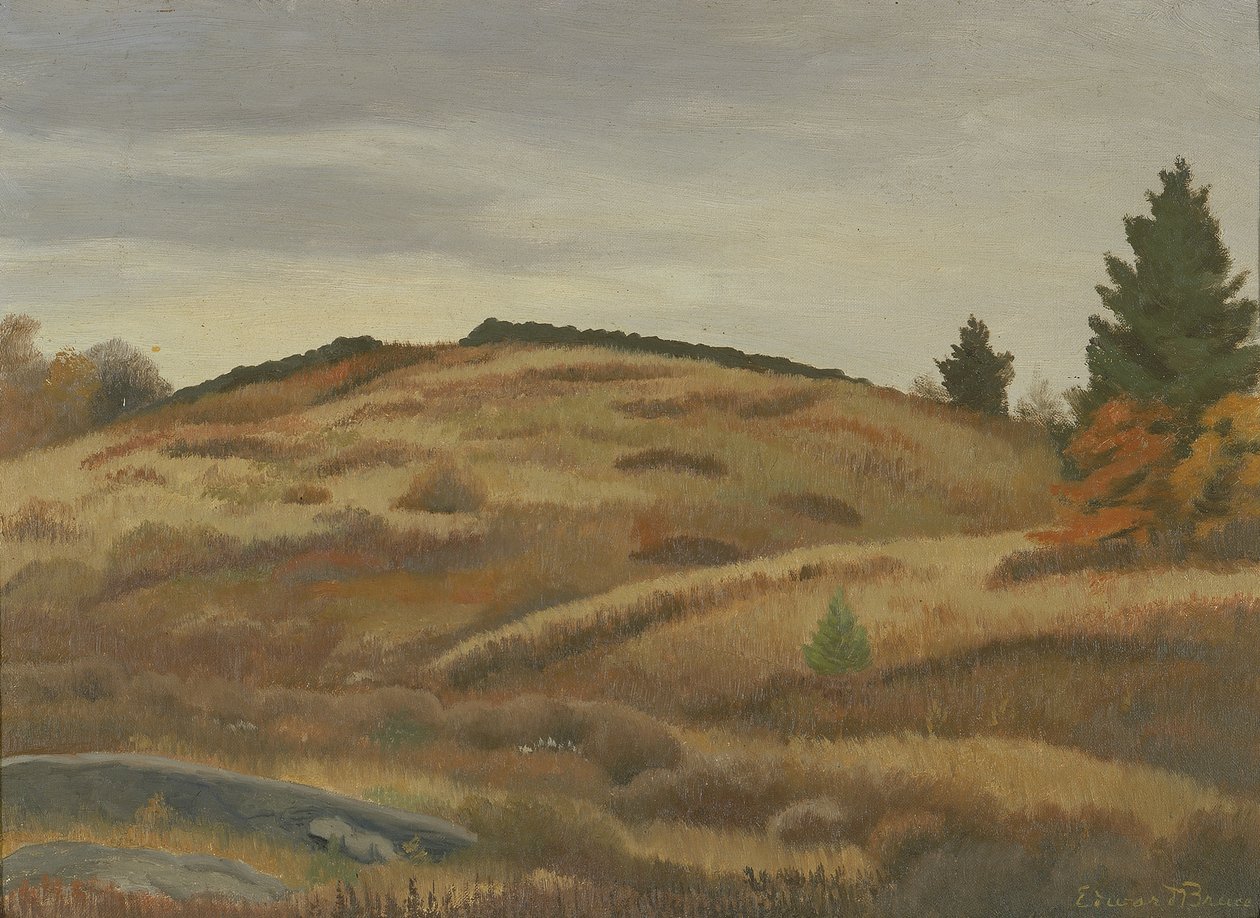 Jesienne Pola, ca. 1926-1934. autorstwa Edward Bruce