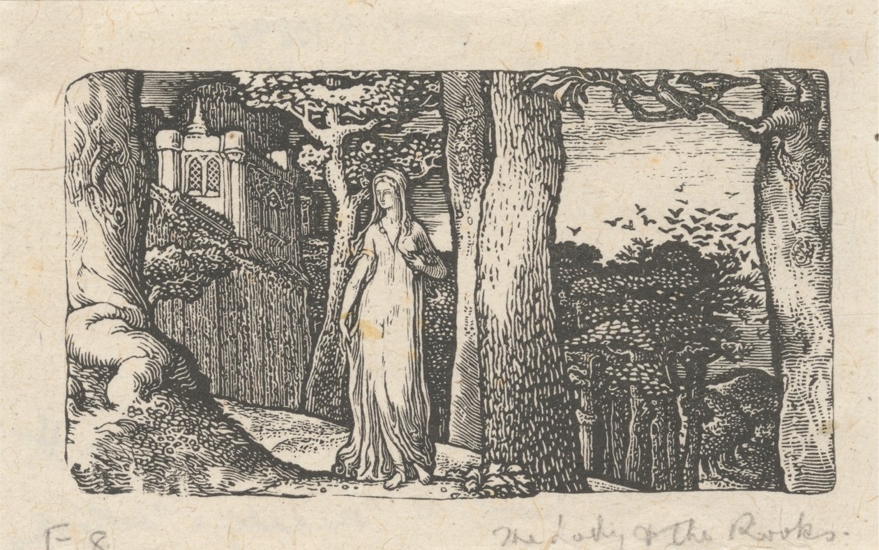 Pani i Gawrony autorstwa Edward Calvert