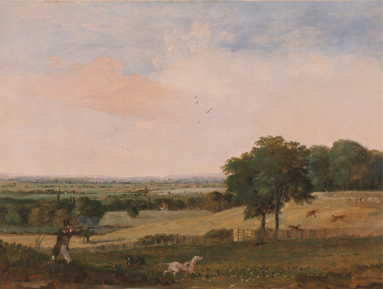 Strzelanie do kuropatw autorstwa Edward Duncan