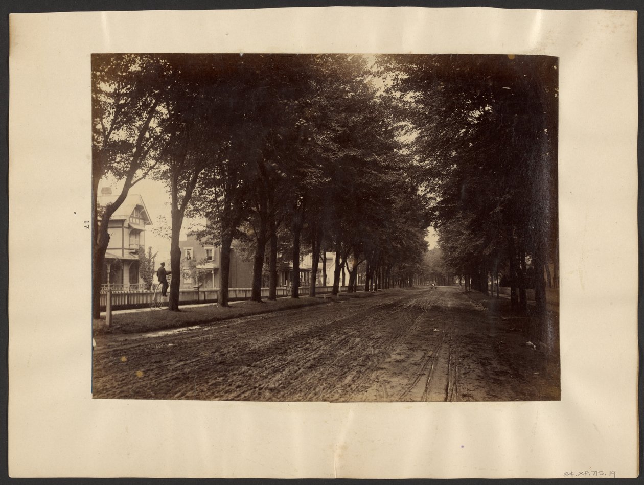 [Tree Lined Street] autorstwa Edward H. Hart