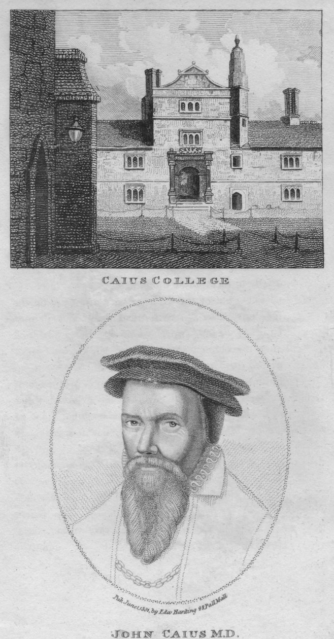 Caius College, John Caius MD, 1801. autorstwa Edward Harding