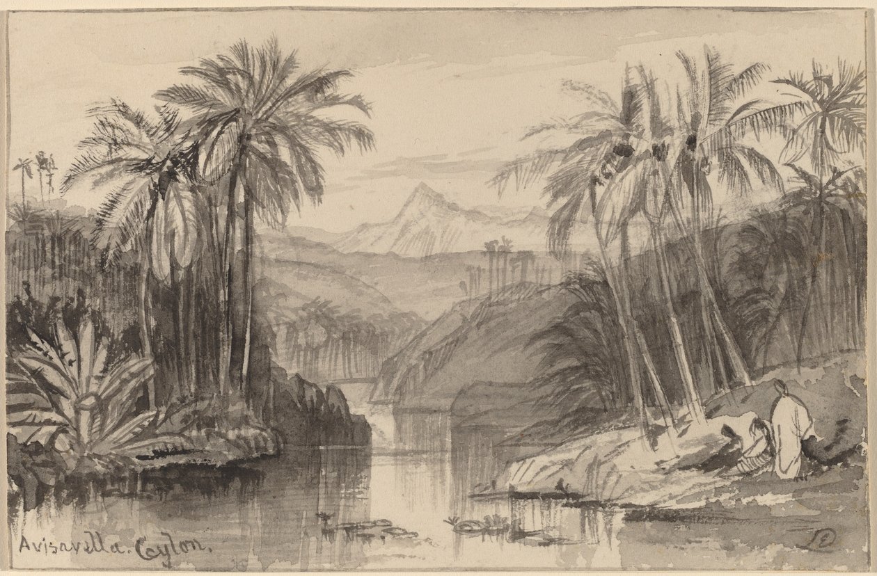 Avisavella, Cejlon, 18841885. autorstwa Edward Lear