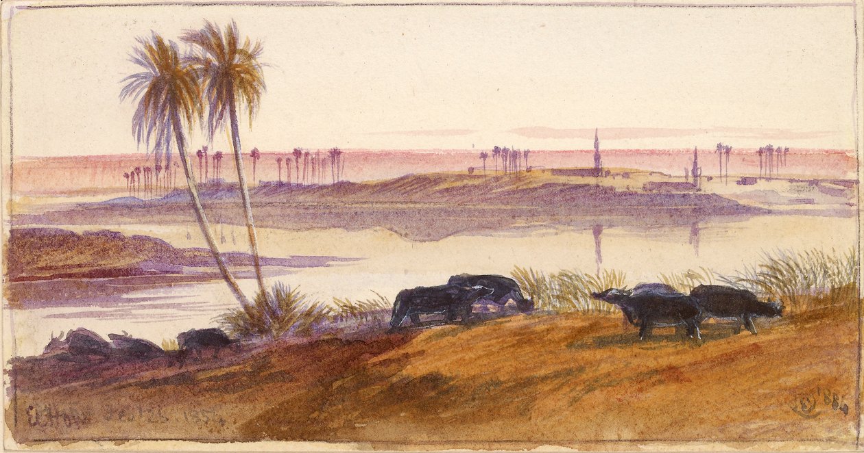 El Hon, Egipt, 1884 autorstwa Edward Lear