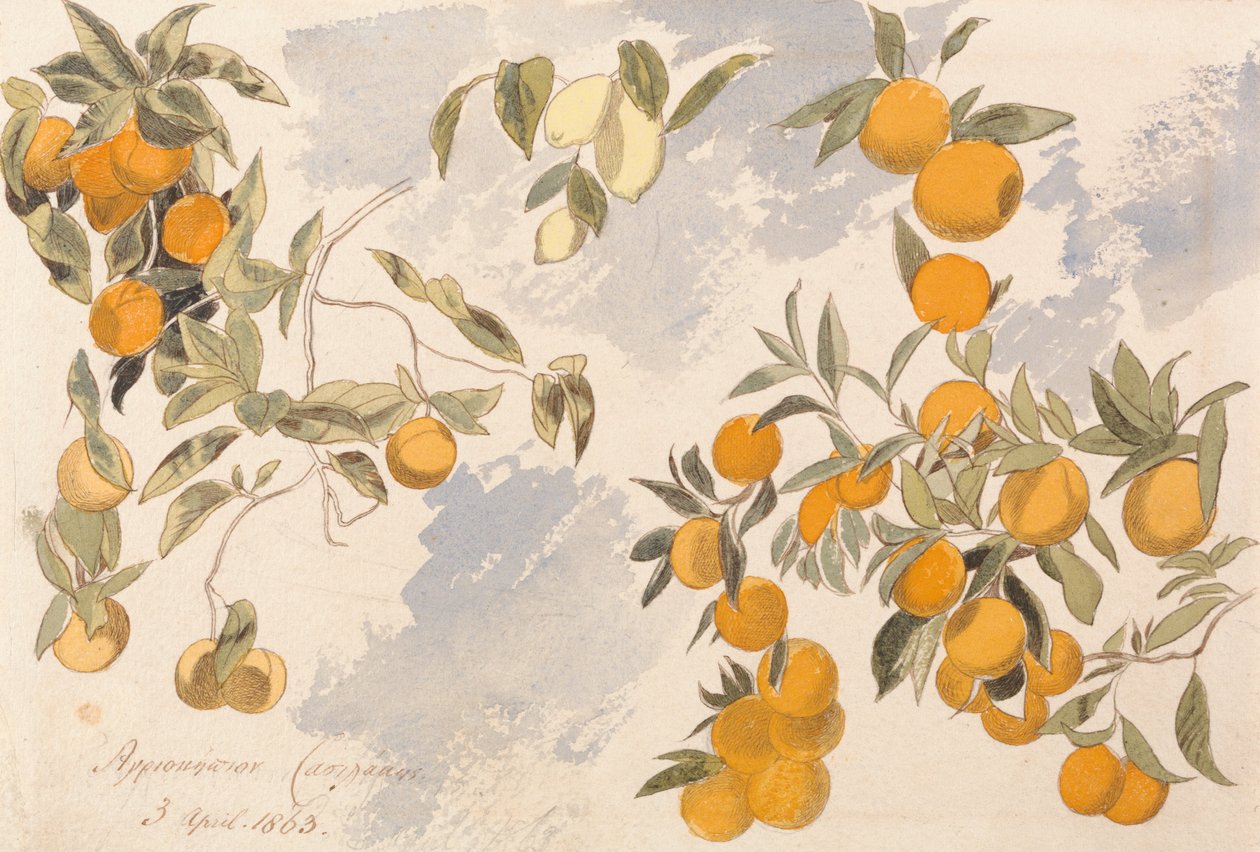 Drzewa owocowe, 3 kwietnia 1863 r. autorstwa Edward Lear
