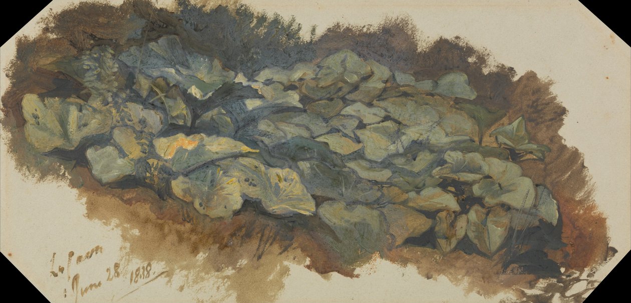 Kamieniołom autorstwa Edward Lear