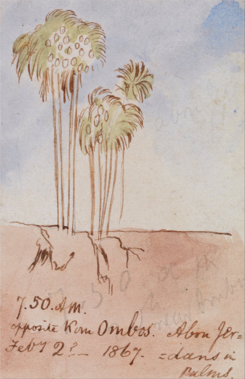 Naprzeciwko Kom Ombos Abu Jer autorstwa Edward Lear