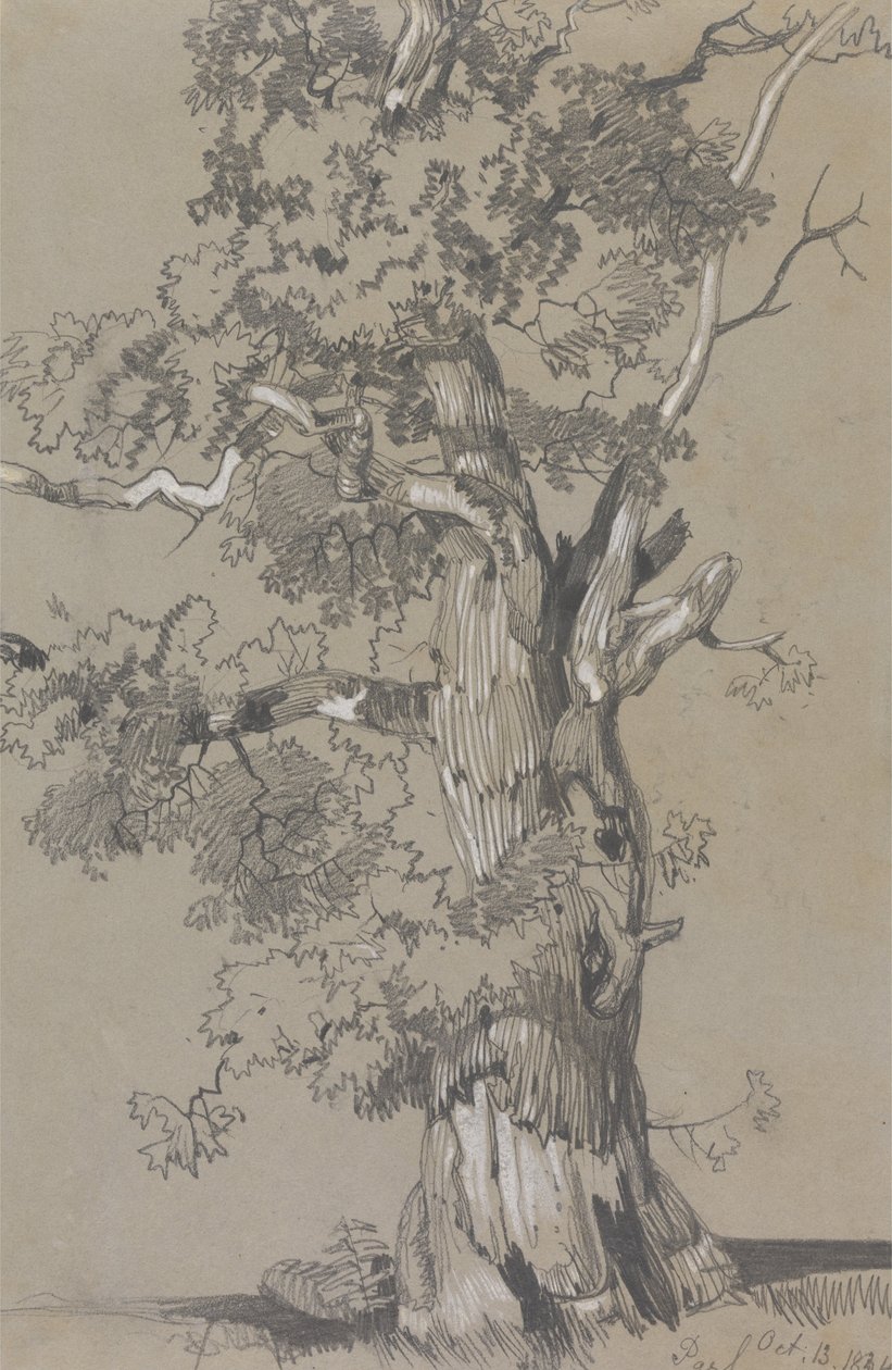 Parham, 13 października 1834 r. autorstwa Edward Lear