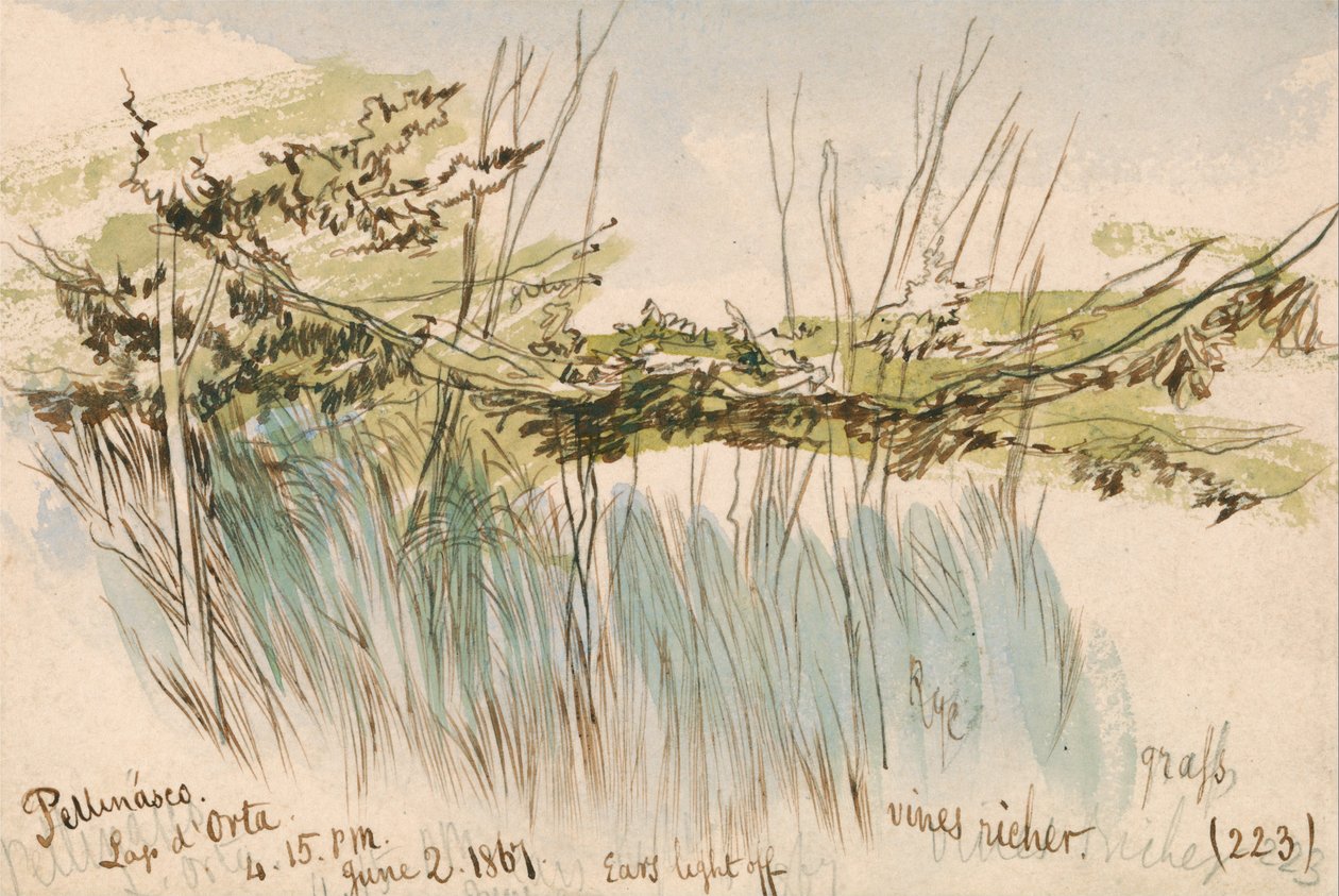 Pettenasco, Jezioro Orta autorstwa Edward Lear