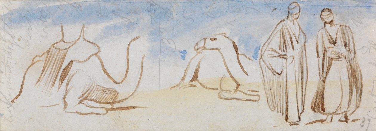 Badania nad wielbłądami i egipskimi mężczyznami autorstwa Edward Lear