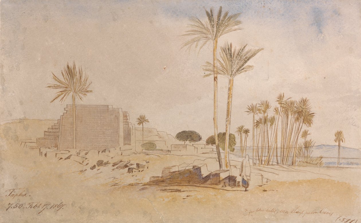Tapha, 7:50 rano, 17 lutego 1867 r. autorstwa Edward Lear