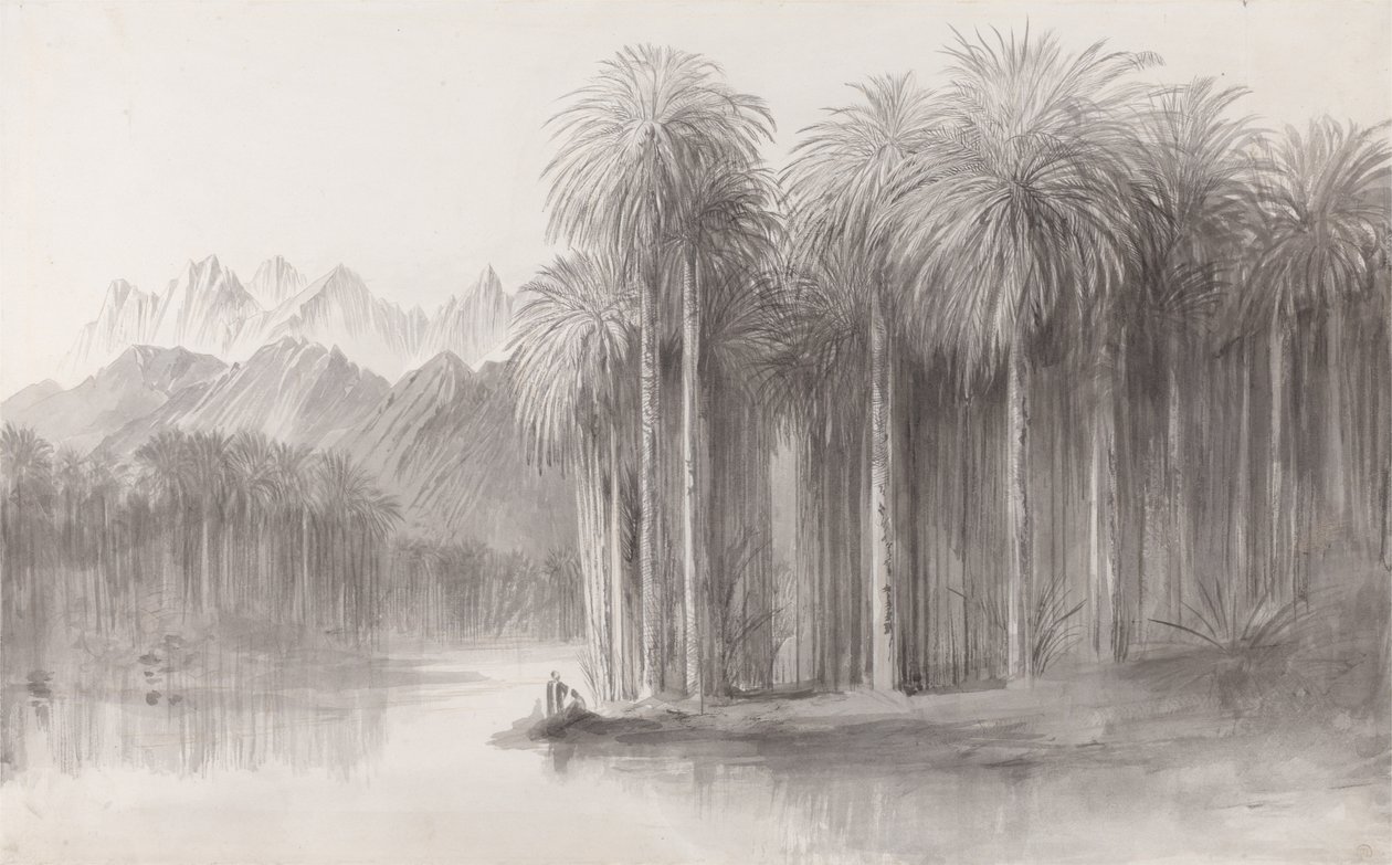Wady Feiran, Półwysep Synaj autorstwa Edward Lear