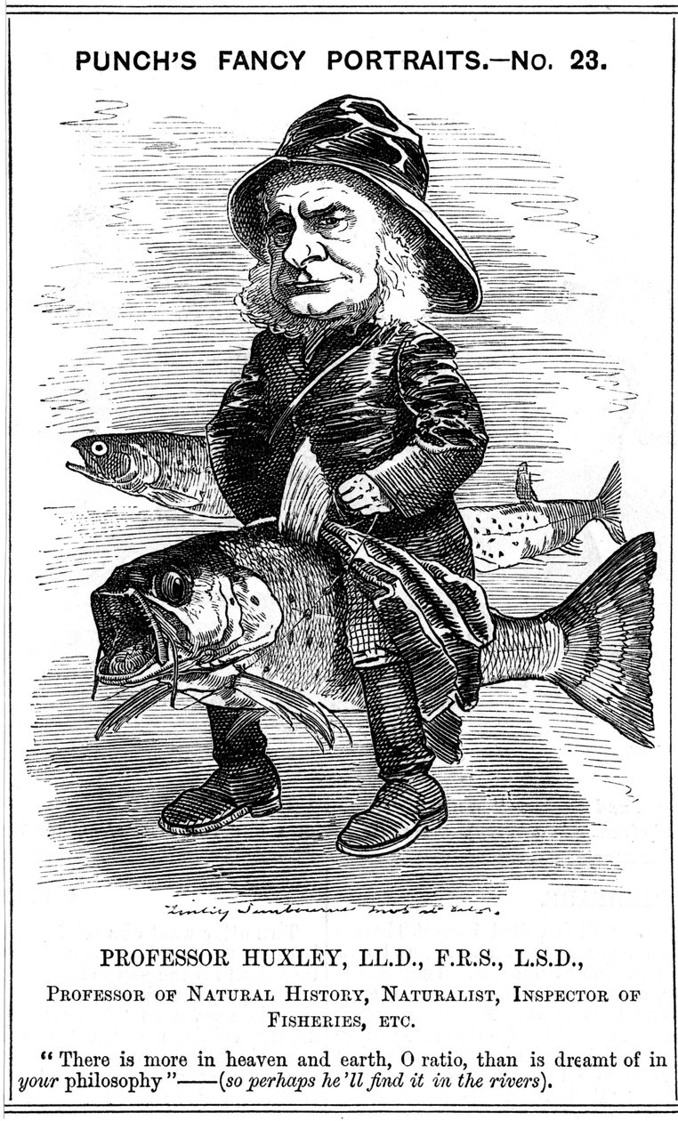 Thomas Henry Huxley, angielski biolog, 1881 r. autorstwa Edward Linley Sambourne