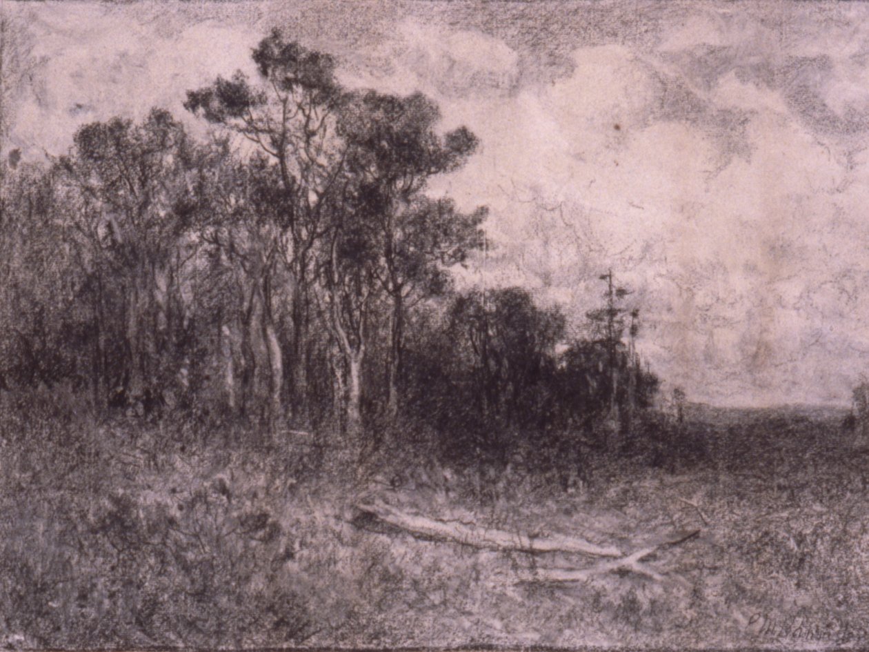 Krajobraz, scena leśna autorstwa Edward Mitchell Bannister