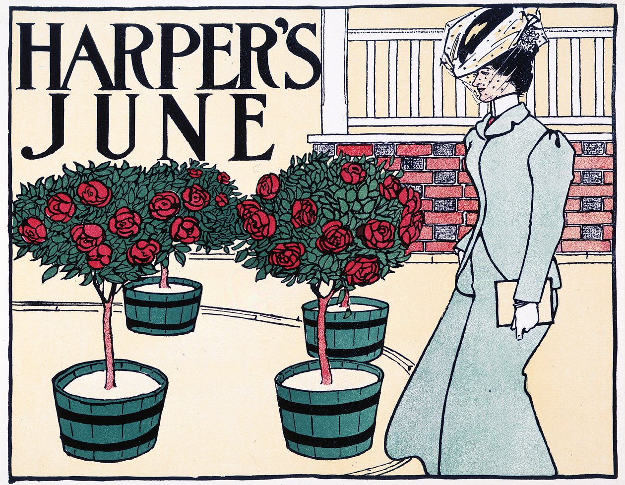„Harper