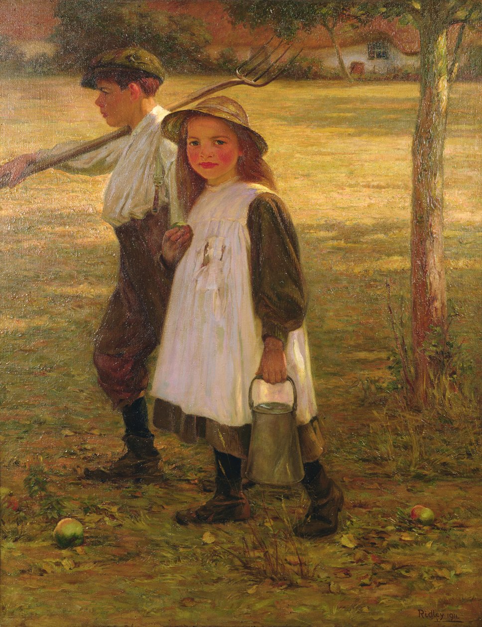 Do domu autorstwa Edward Ridley