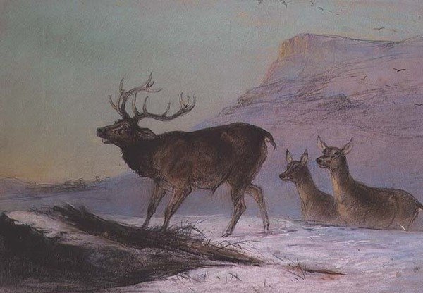 Zima (pastel) autorstwa Edward Robert Smythe