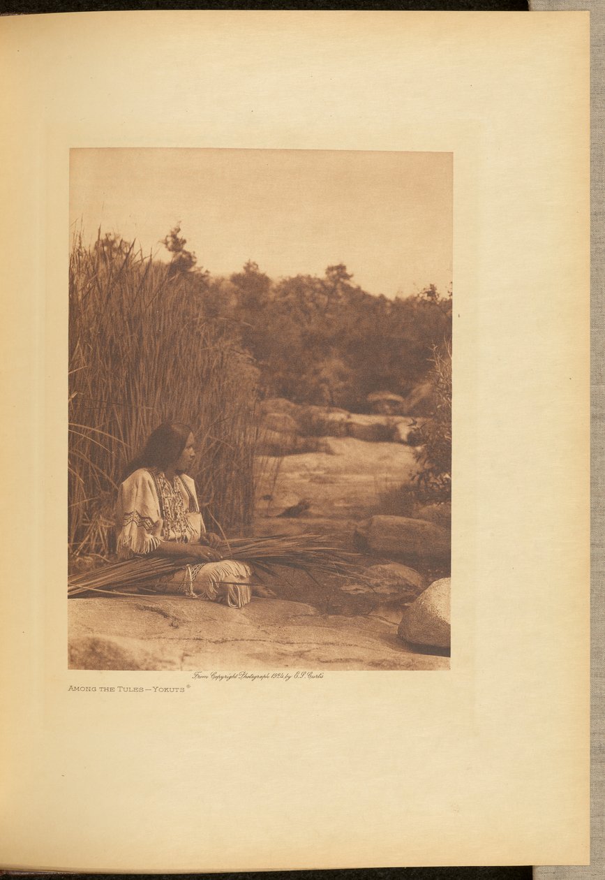 Wśród tui - Yokuts autorstwa Edward S. Curtis