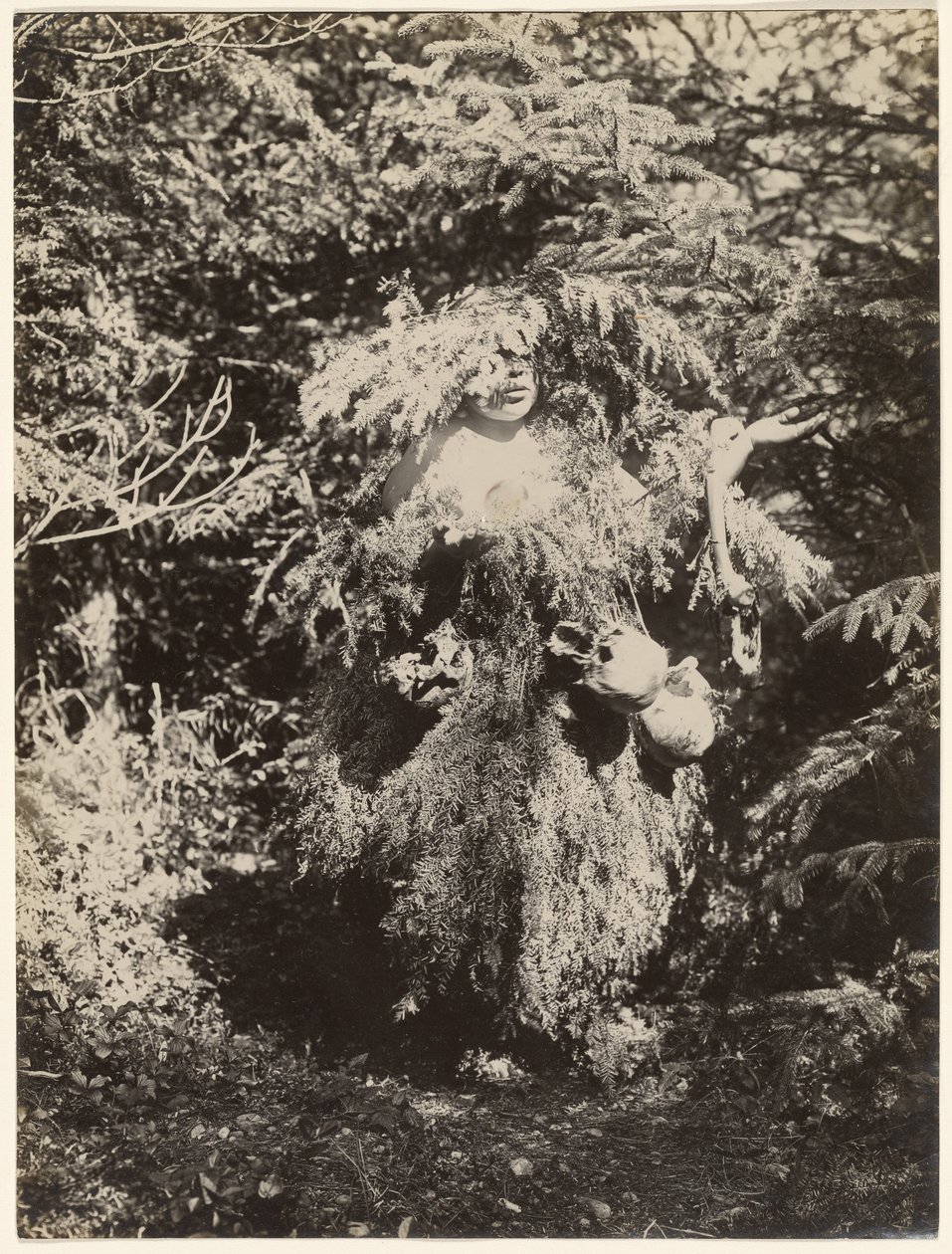 [Ghost Dancer - Kwakiutl] autorstwa Edward S. Curtis