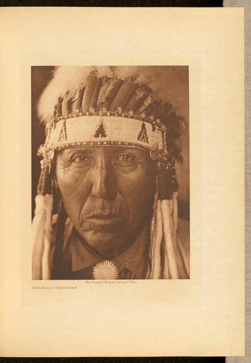 Red Bird - Cheyenne autorstwa Edward S. Curtis