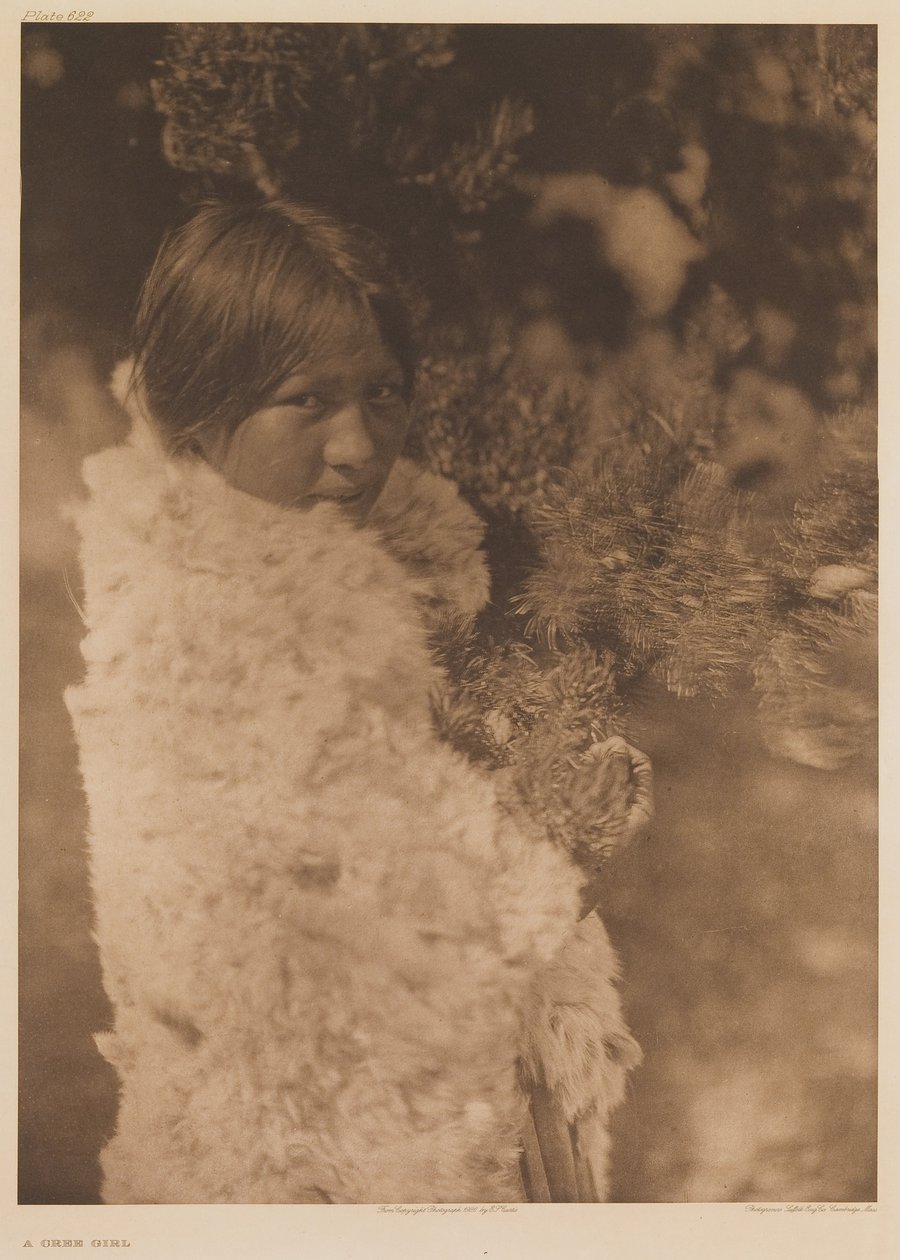 Dziewczyna Cree autorstwa Edward Sheriff Curtis