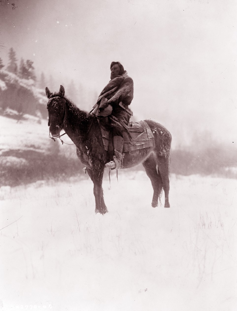 Skaut zimą, Apsaroke autorstwa Edward Sheriff Curtis