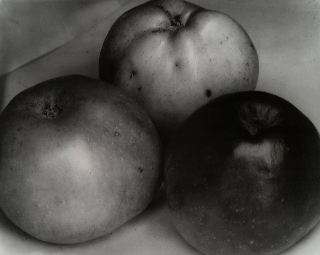 Trzy jabłka, Francja, ca. 1921 autorstwa Edward Steichen