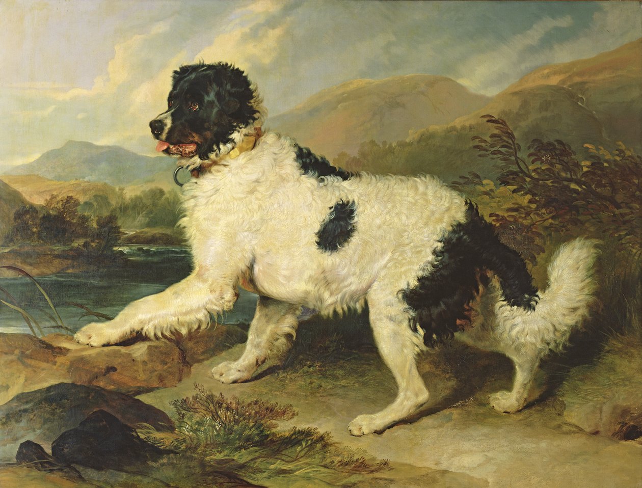 Pies nowofundlanda zwany lwem, 1824 autorstwa Edwin Landseer