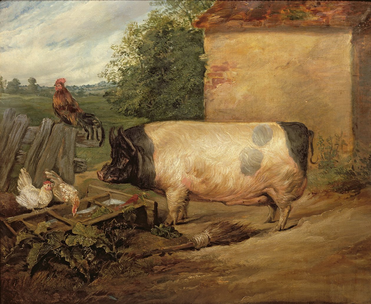 Portret nagrodzonej świni, własność dziedzica Westona z Essex, 1810 r. autorstwa Edwin Landseer