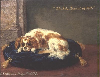 Blenheim Spaniel w Rest autorstwa Edwin Frederick Holt
