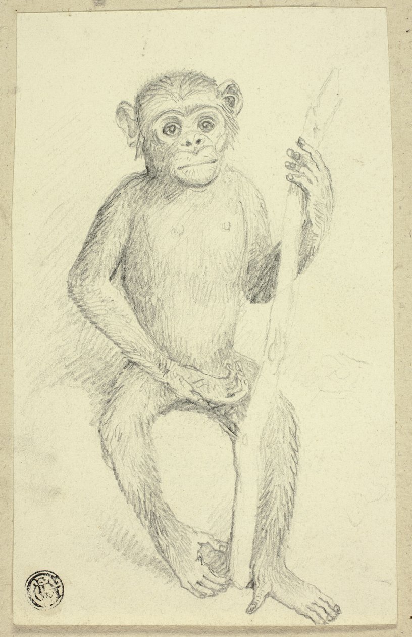 Orangutan autorstwa Edwin Henry Landseer