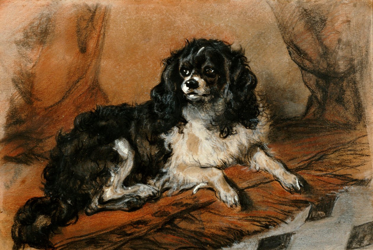 King Charles Spaniel autorstwa Edwin Landseer