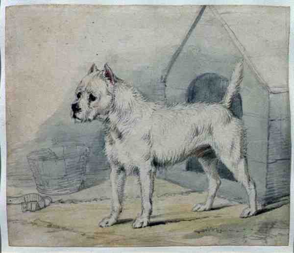 Pies poza budą (ołówek i umyć) autorstwa Edwin Landseer
