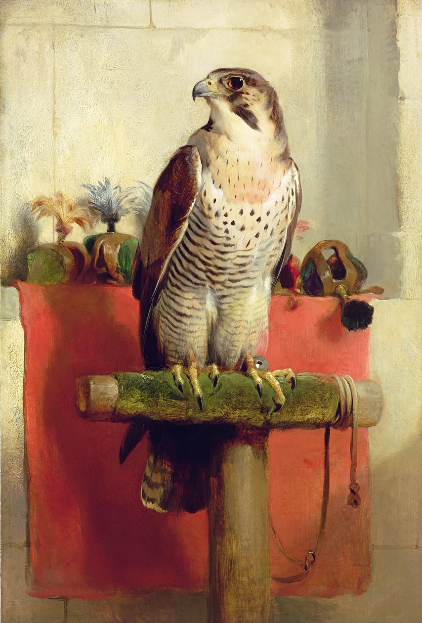 Sokół, 1837 autorstwa Edwin Landseer