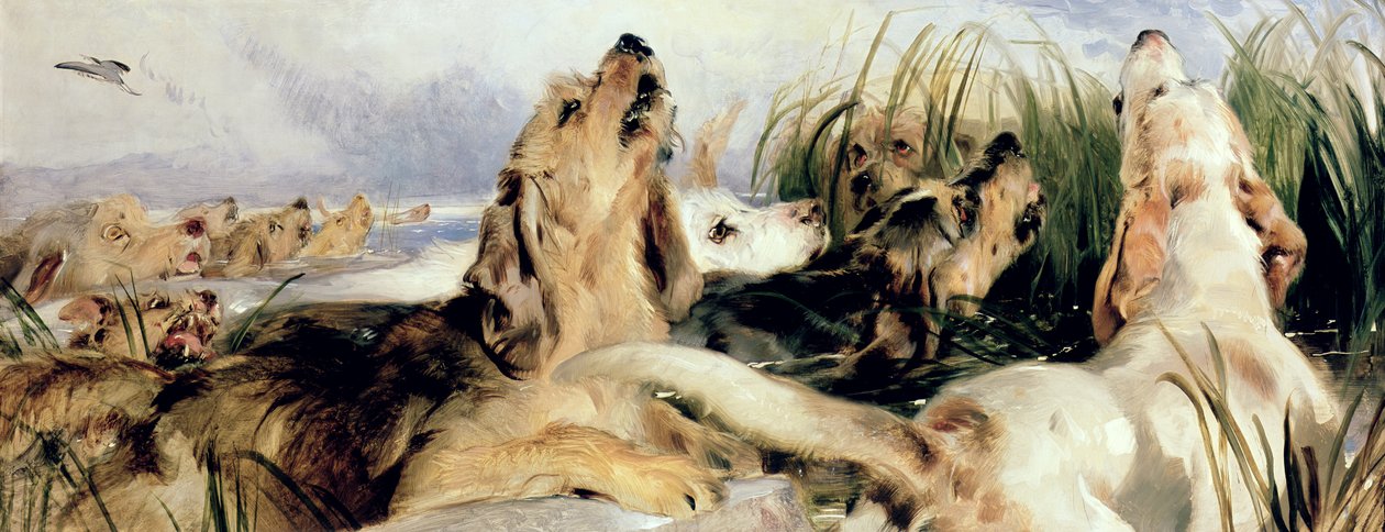 Ogary wydry autorstwa Edwin Landseer
