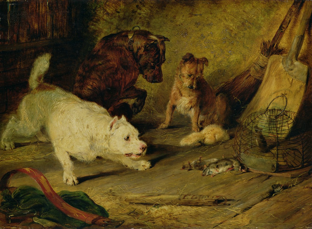 Ratcatchers autorstwa Edwin Landseer