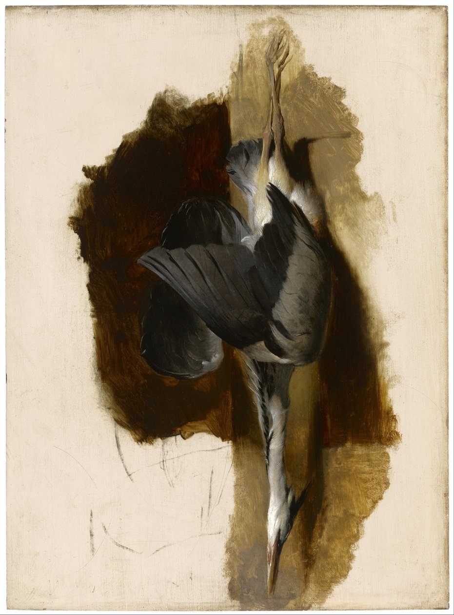 Studium martwej czapli autorstwa Edwin Landseer
