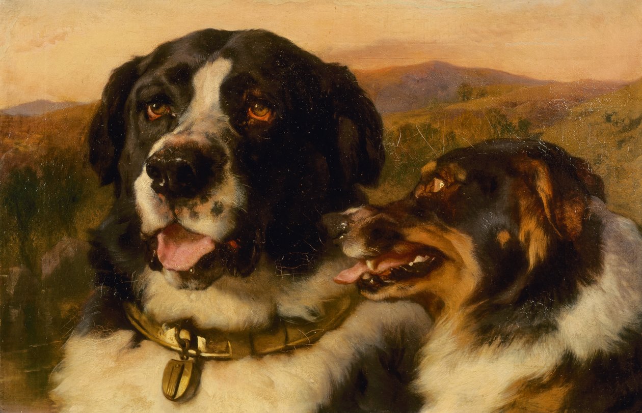 Twa Dogs (olej na płótnie) autorstwa Edwin Landseer