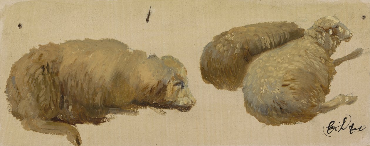 Trzy owce w spoczynku (olej na papierze) autorstwa Edwin Landseer