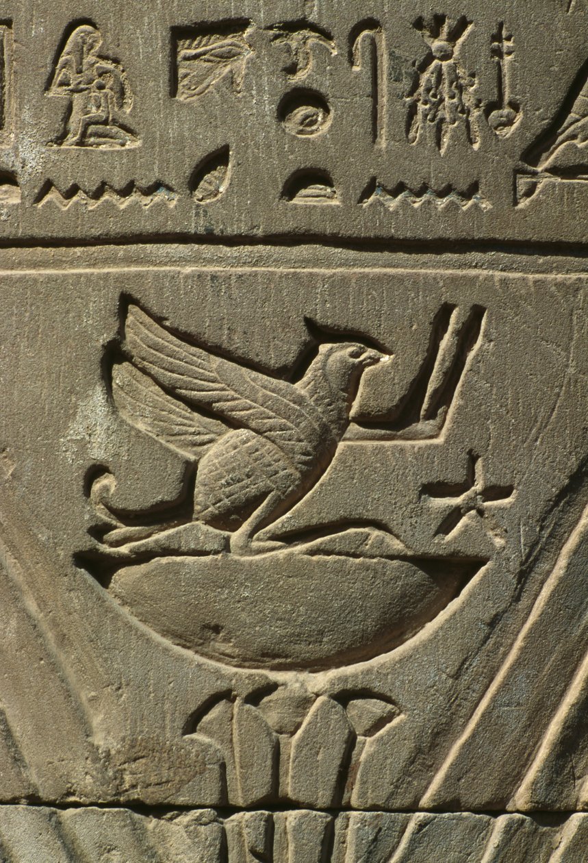 Detal reliefu, hieroglify wapienne autorstwa Egyptian