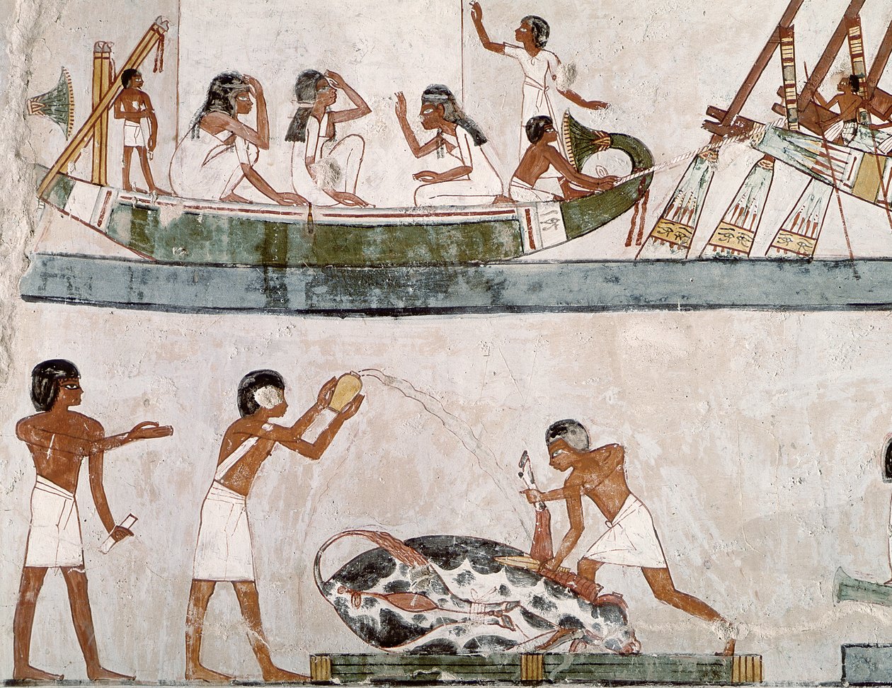 Ofiarowanie i oczyszczenie byka oraz rytuał żeglarski, z grobowca Menna, Nowe Królestwo (malowidło ścienne) autorstwa Egyptian 18th Dynasty
