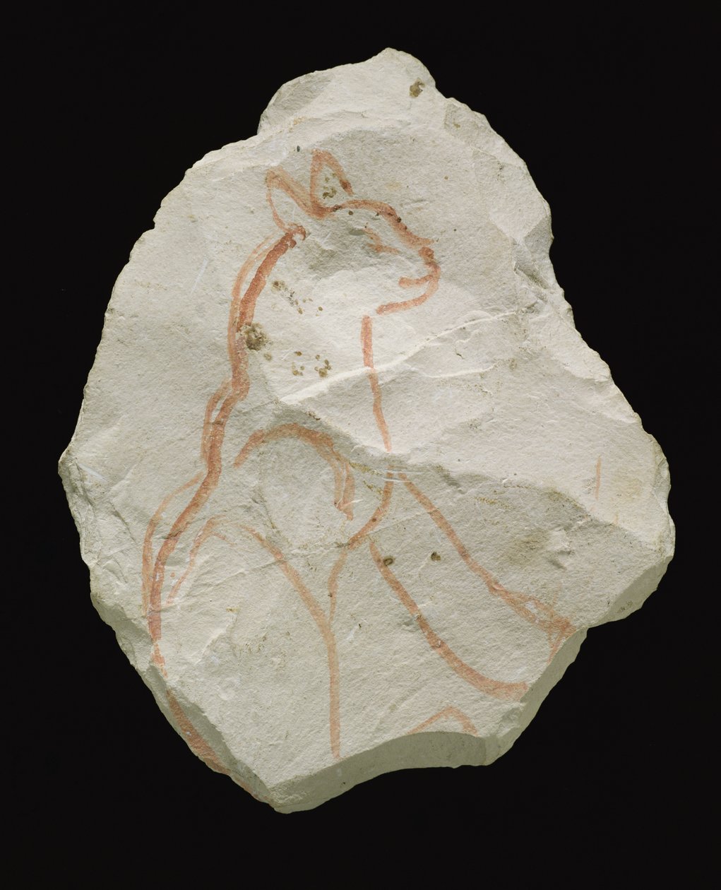 Ostracon przedstawiający siedzącego kota, Nowe Królestwo (płatek wapienia) autorstwa Egyptian 19th Dynasty